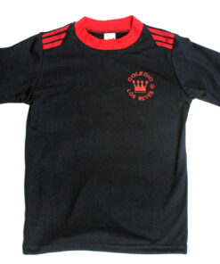 Polera Deporte Los Reyes